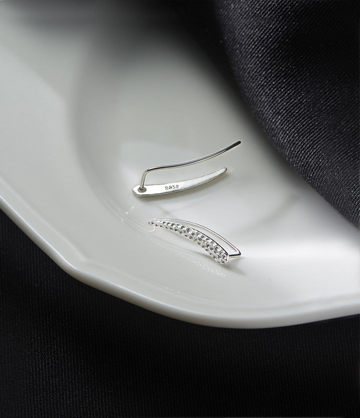 Diamond Fang Silver Earrings